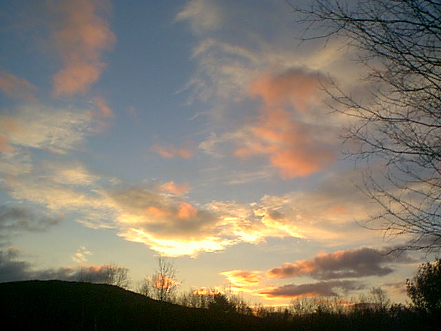 picture #1