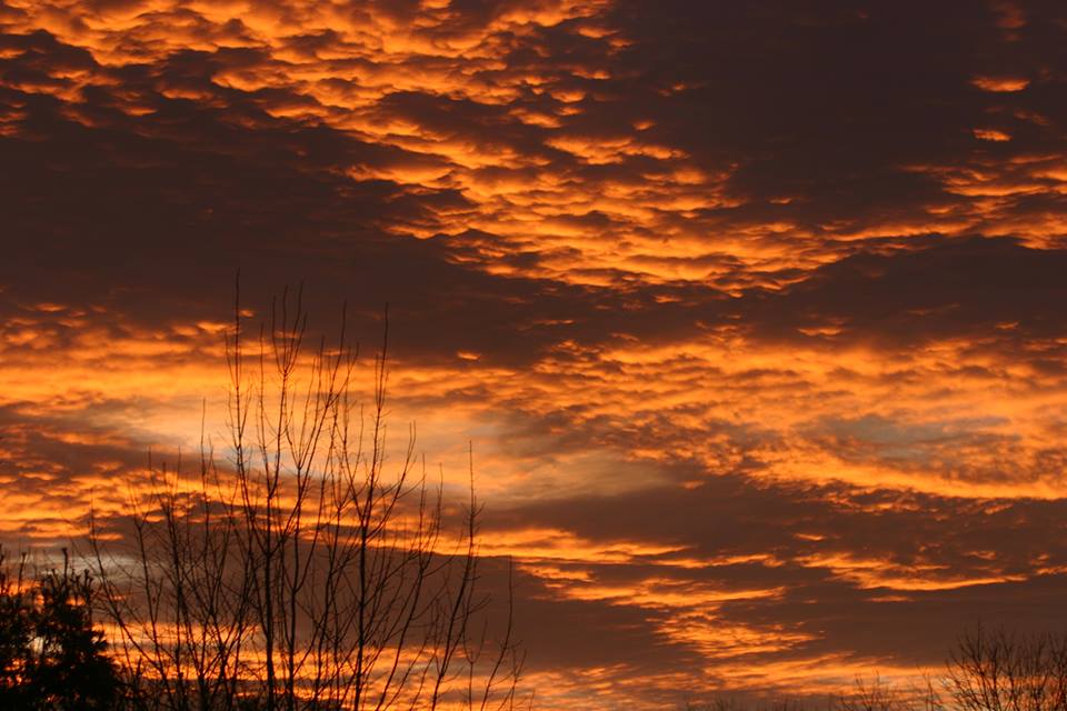picture #1