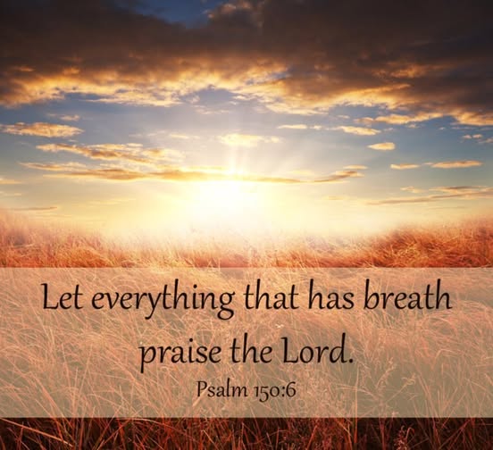 Praise Picture