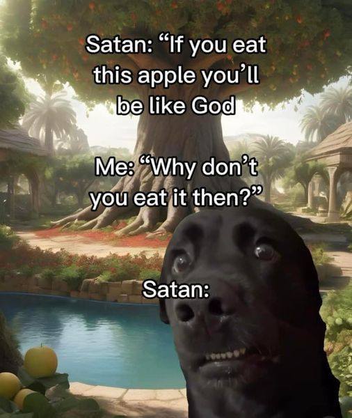 Praise Picture